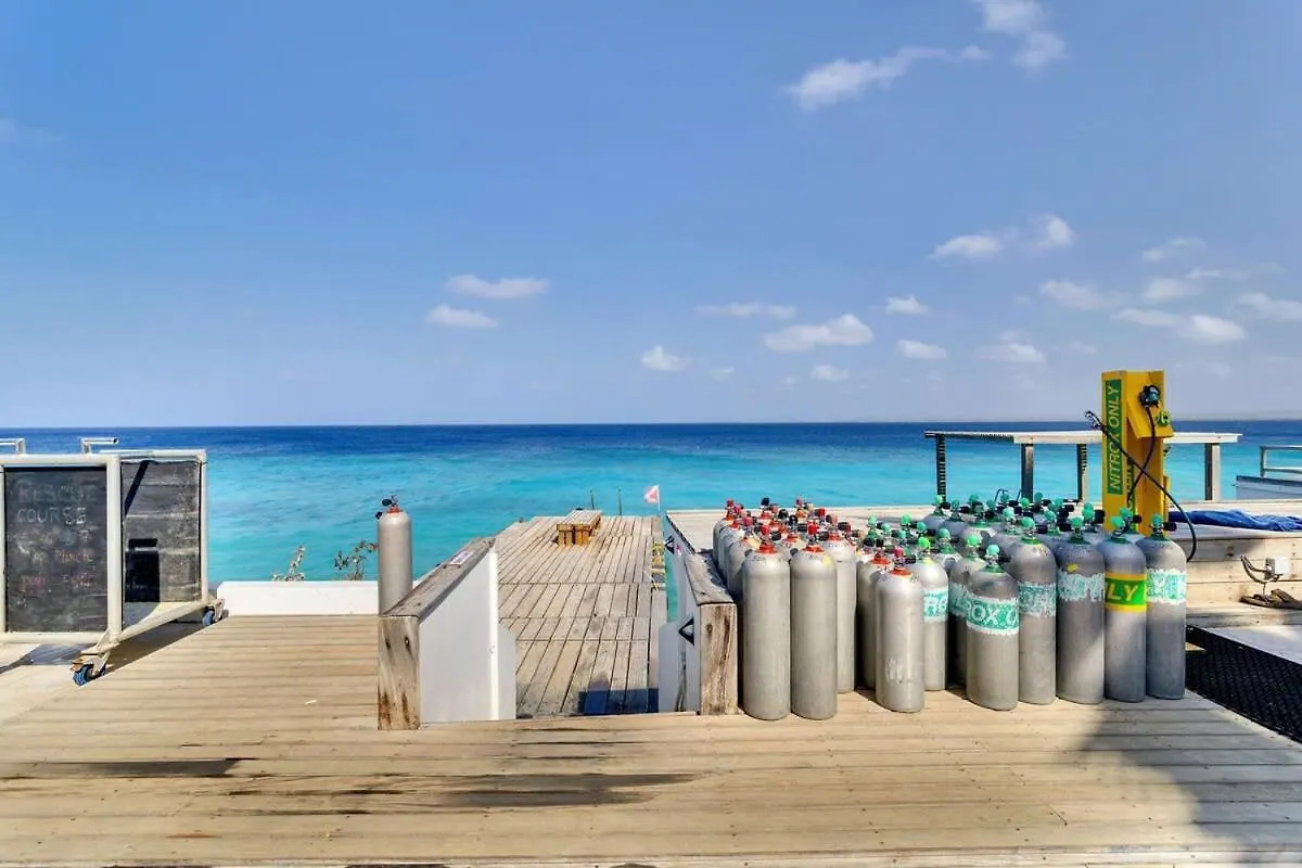 Belmar Oceanfront Apartment 1 Divers Paradise Kralendijk